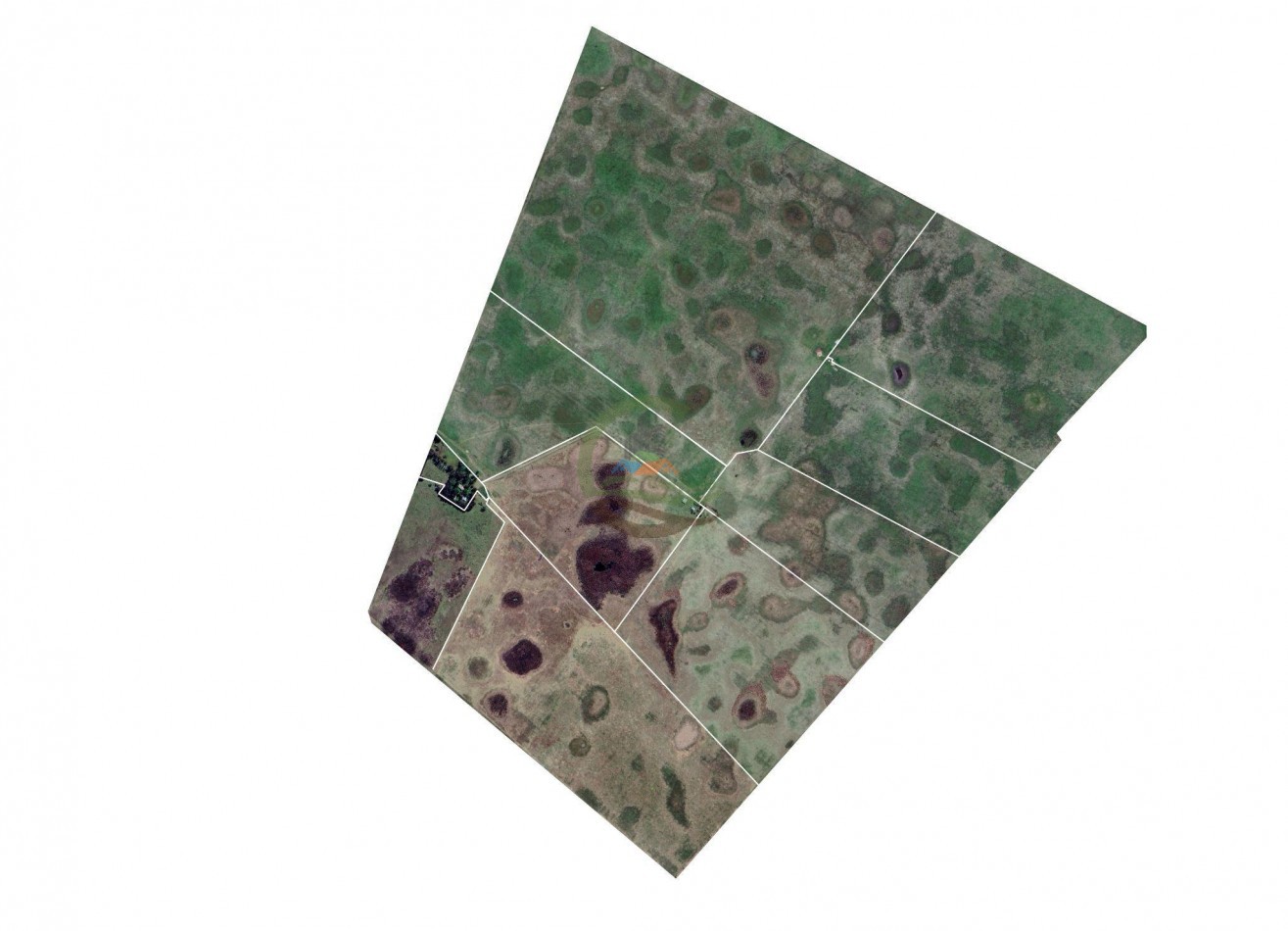 422 Ha Mixto - Las Flores