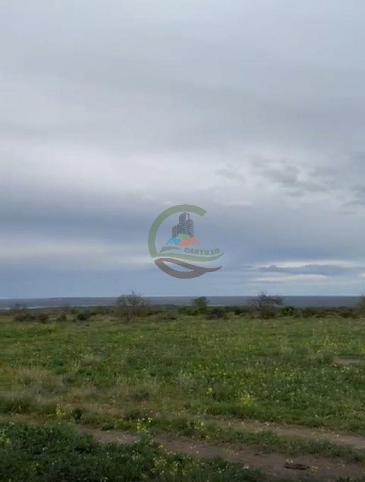 5117 Ha Ganadero - La Adela - La Pampa