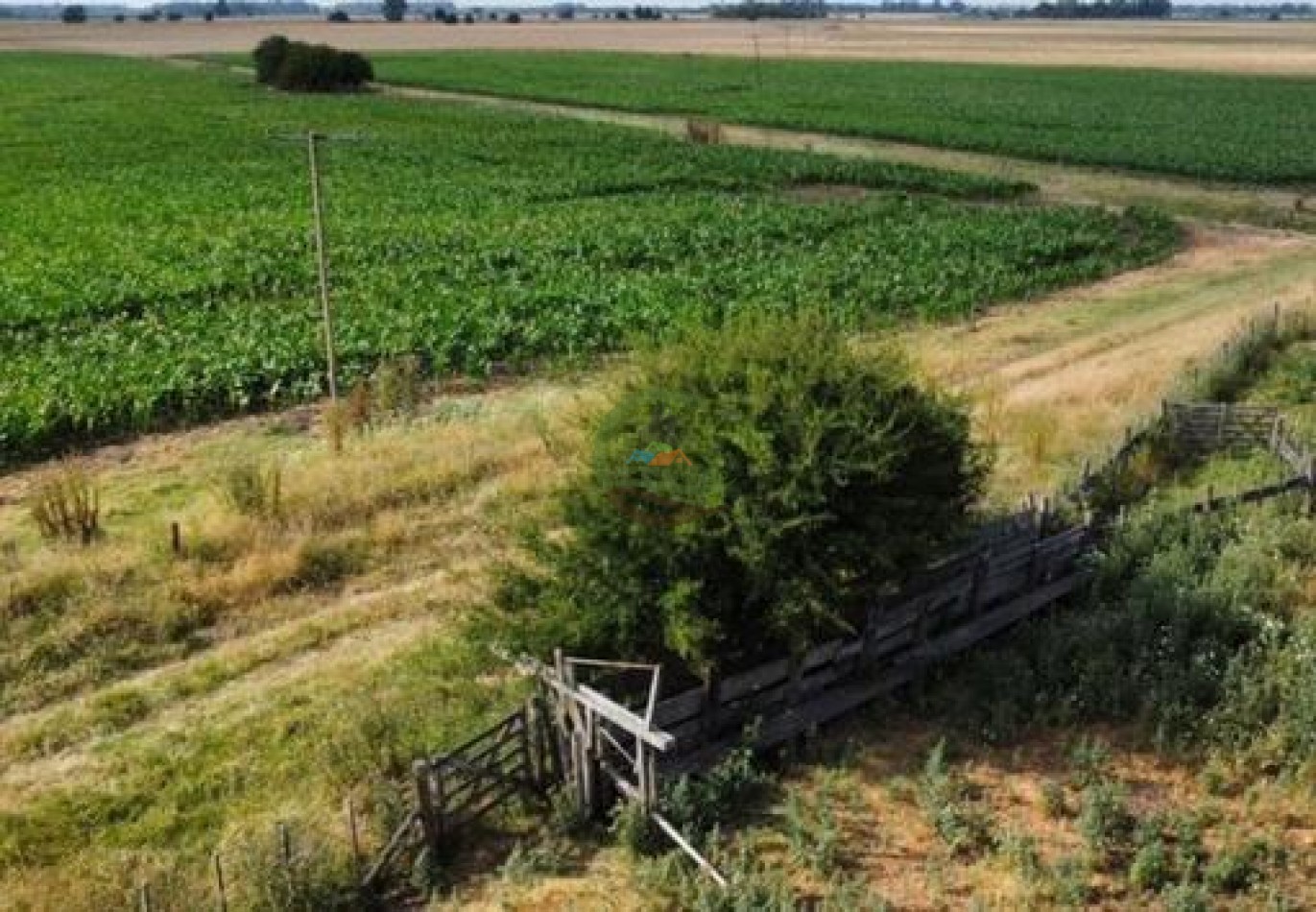 401 Ha Mixto - Lezama