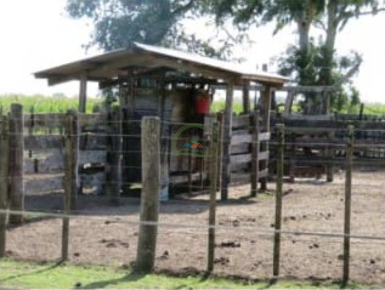 342 Ha Mixtas - San Miguel del Monte