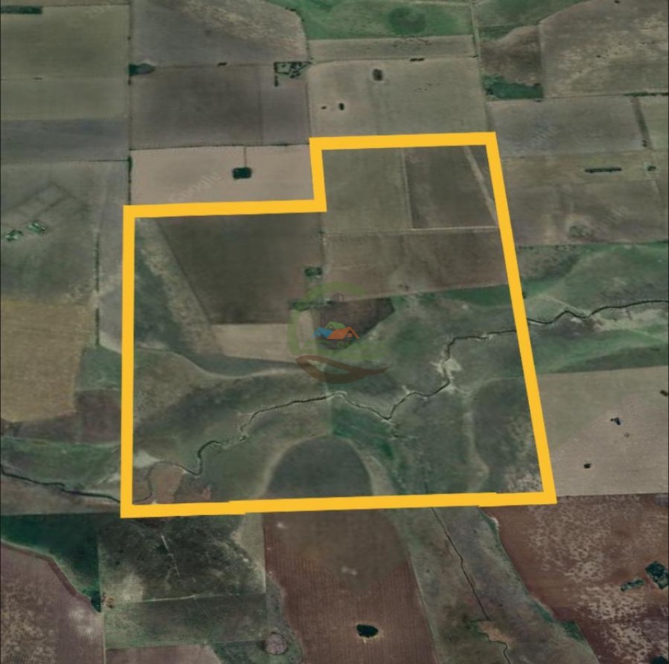 545 Ha Mixtas - Pergamino
