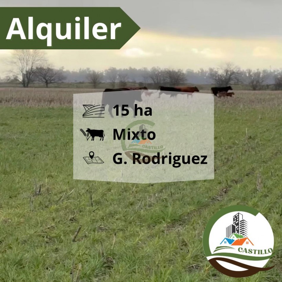 15 Ha Mixtas - Gral Rodriguez
