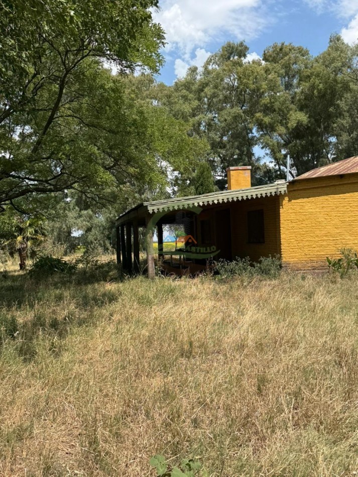 150 Ha Mixto - Urdampilleta - Bolivar