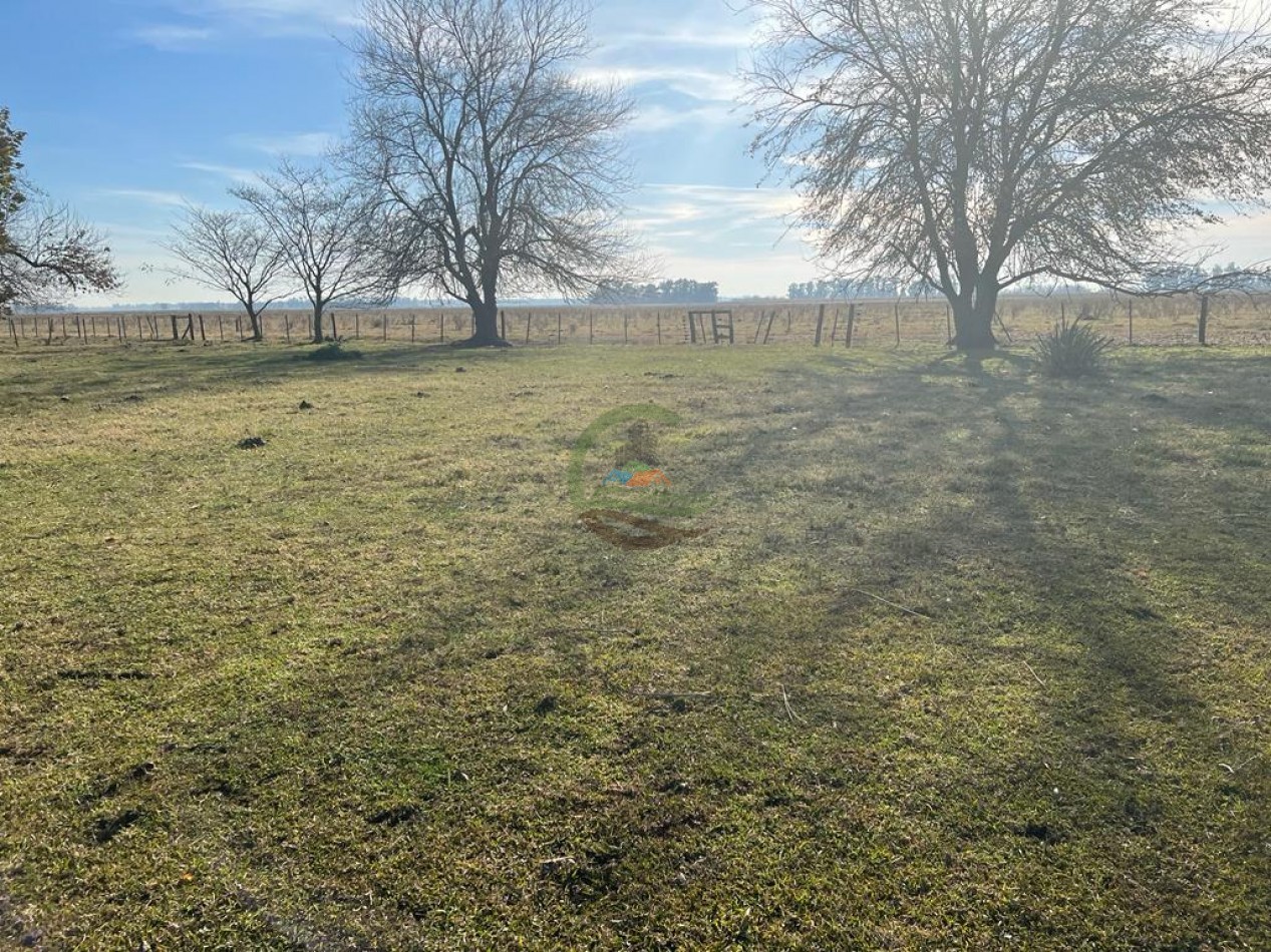 377 Ha Agricolas - San Miguel del Monte 