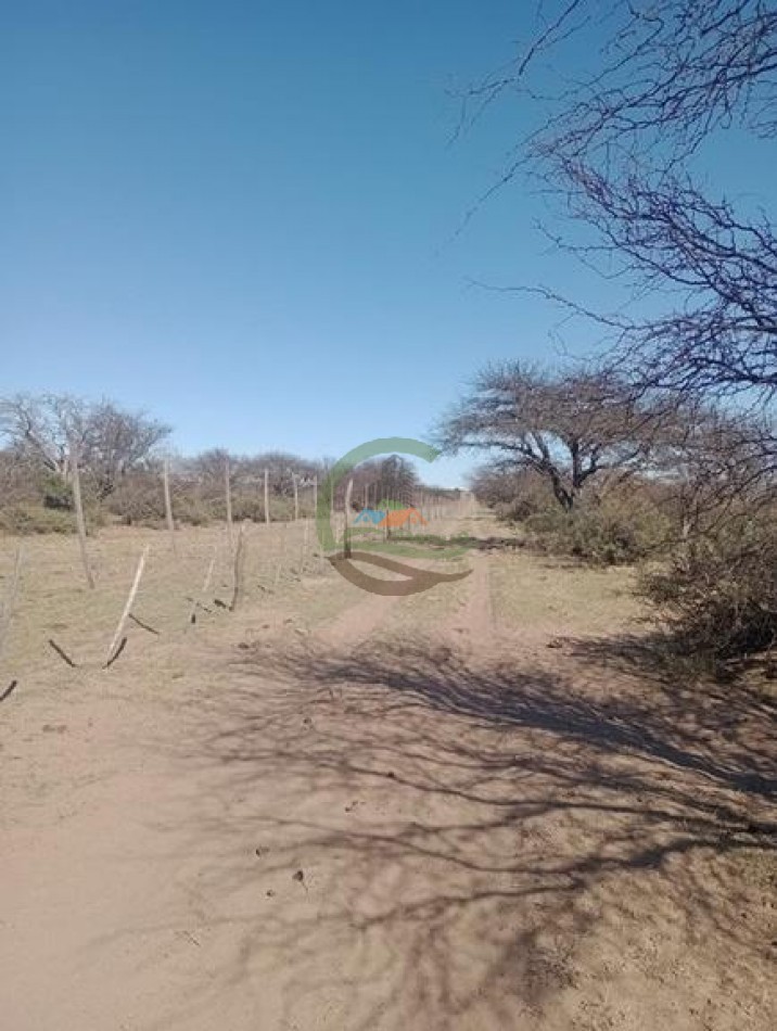 2500 Ha Ganadero - Coto de Caza - Colonia Devoto - La Pampa