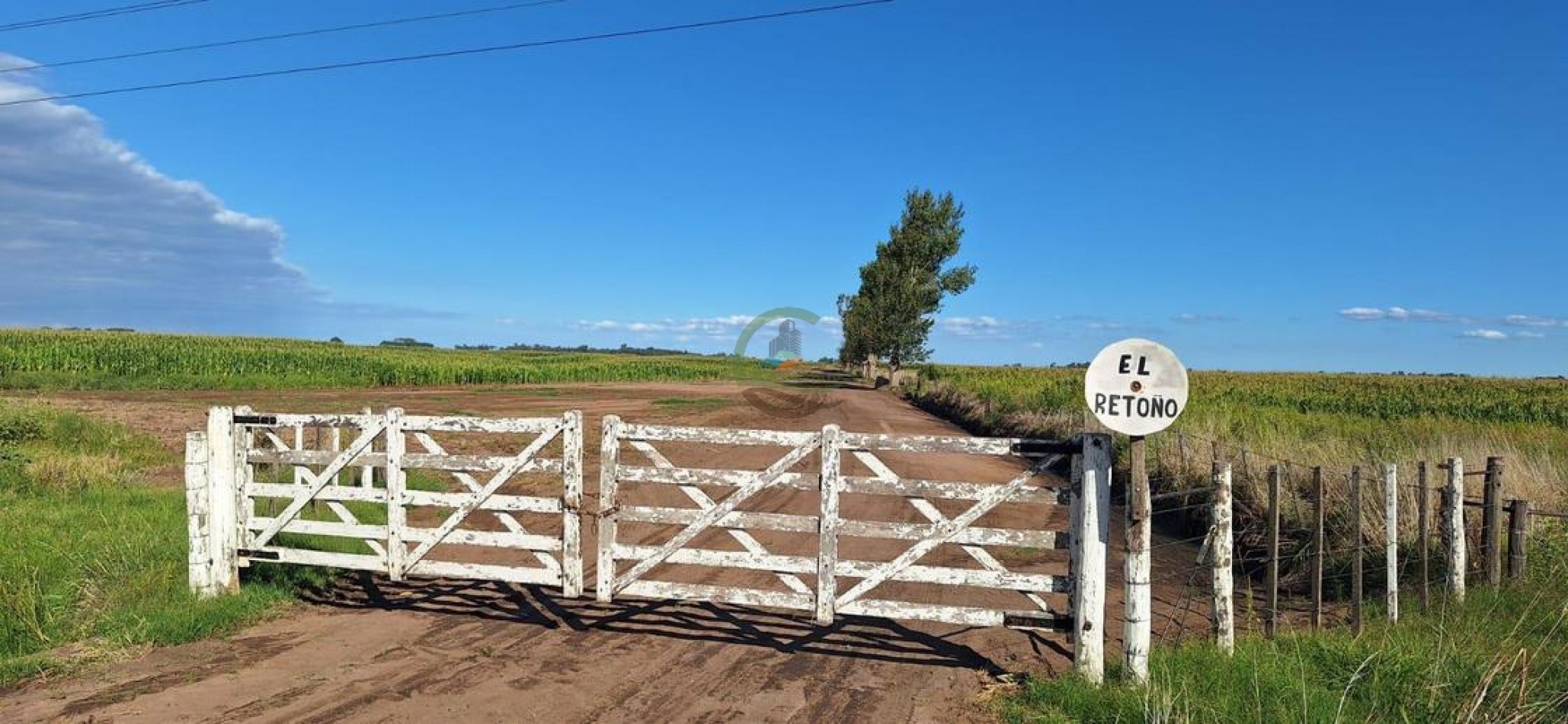 192 Ha Mixto - Daireaux