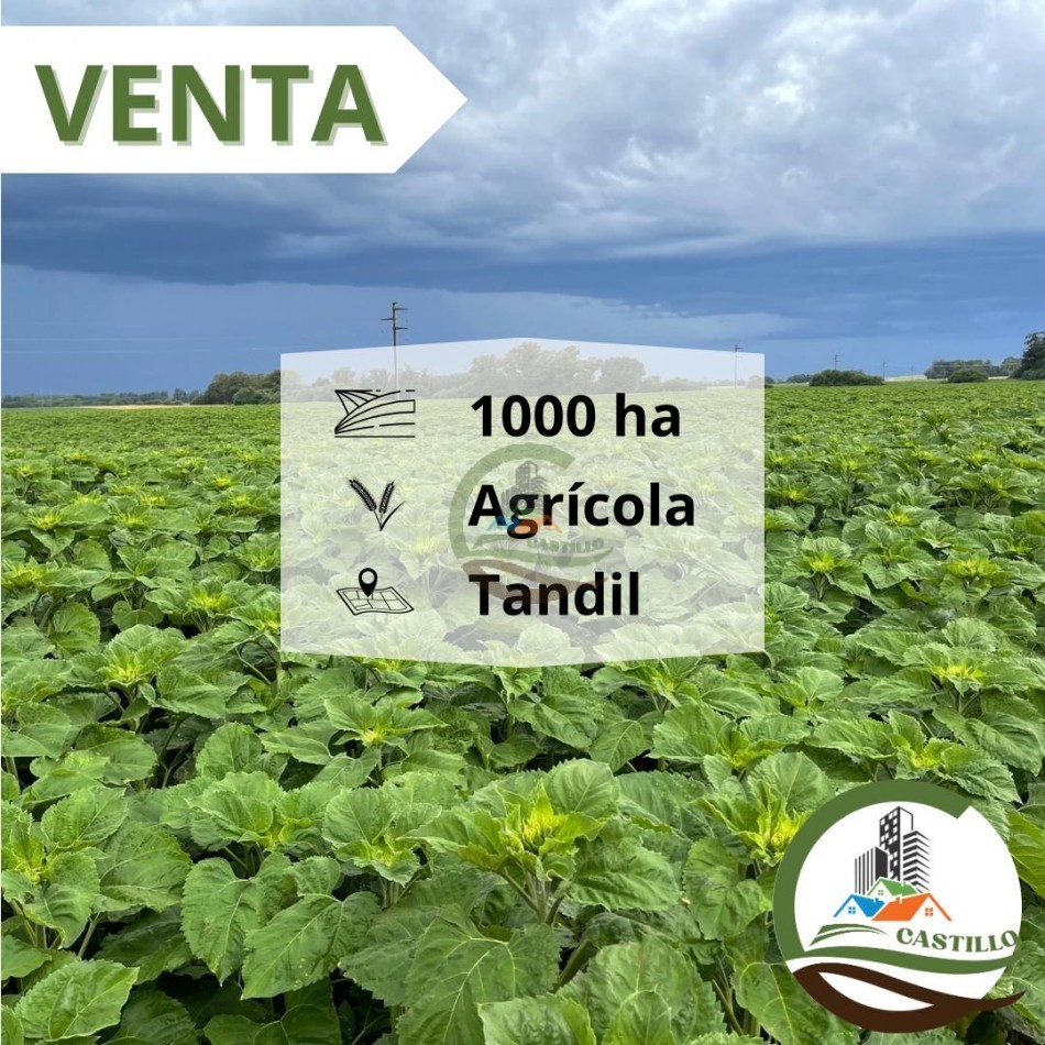 1007 Ha Agricolas - Tandil