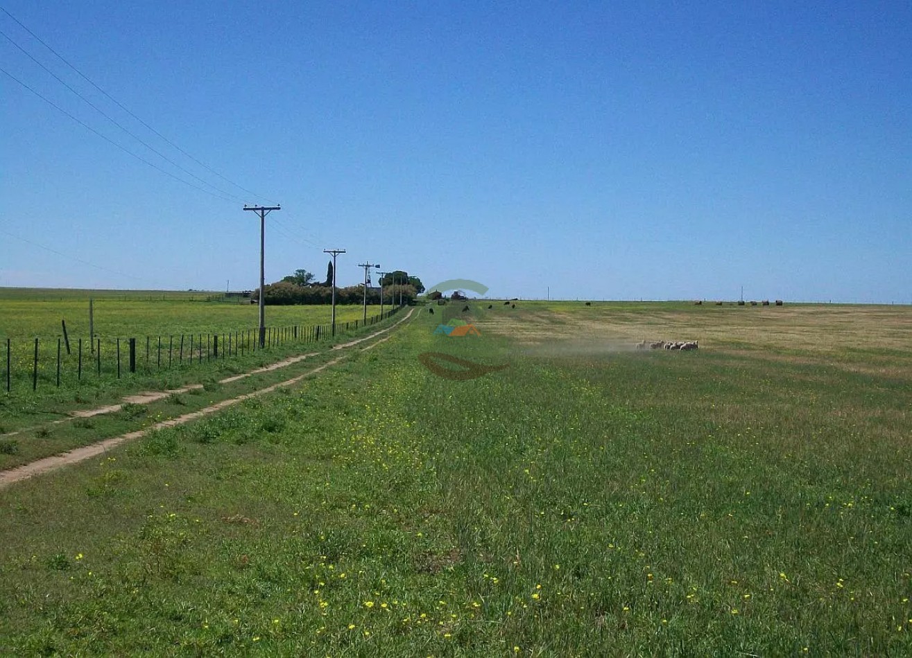 235 Ha Mixto - Tornquist