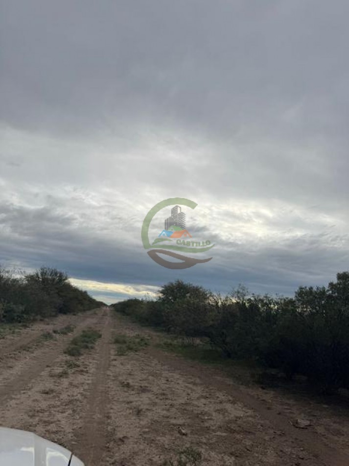 5117 Ha Ganadero - La Adela - La Pampa