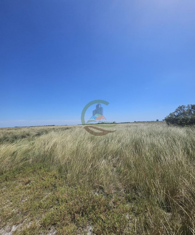 121 Ha Mixto - Martin Fierro - Trenque Lauquen