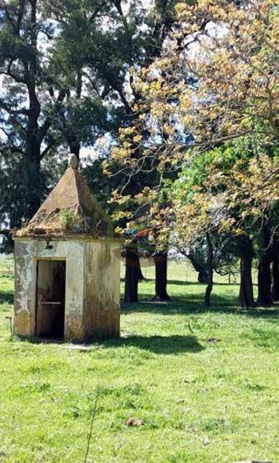 205 Ha Mixto -- Harosteguy - Las Flores