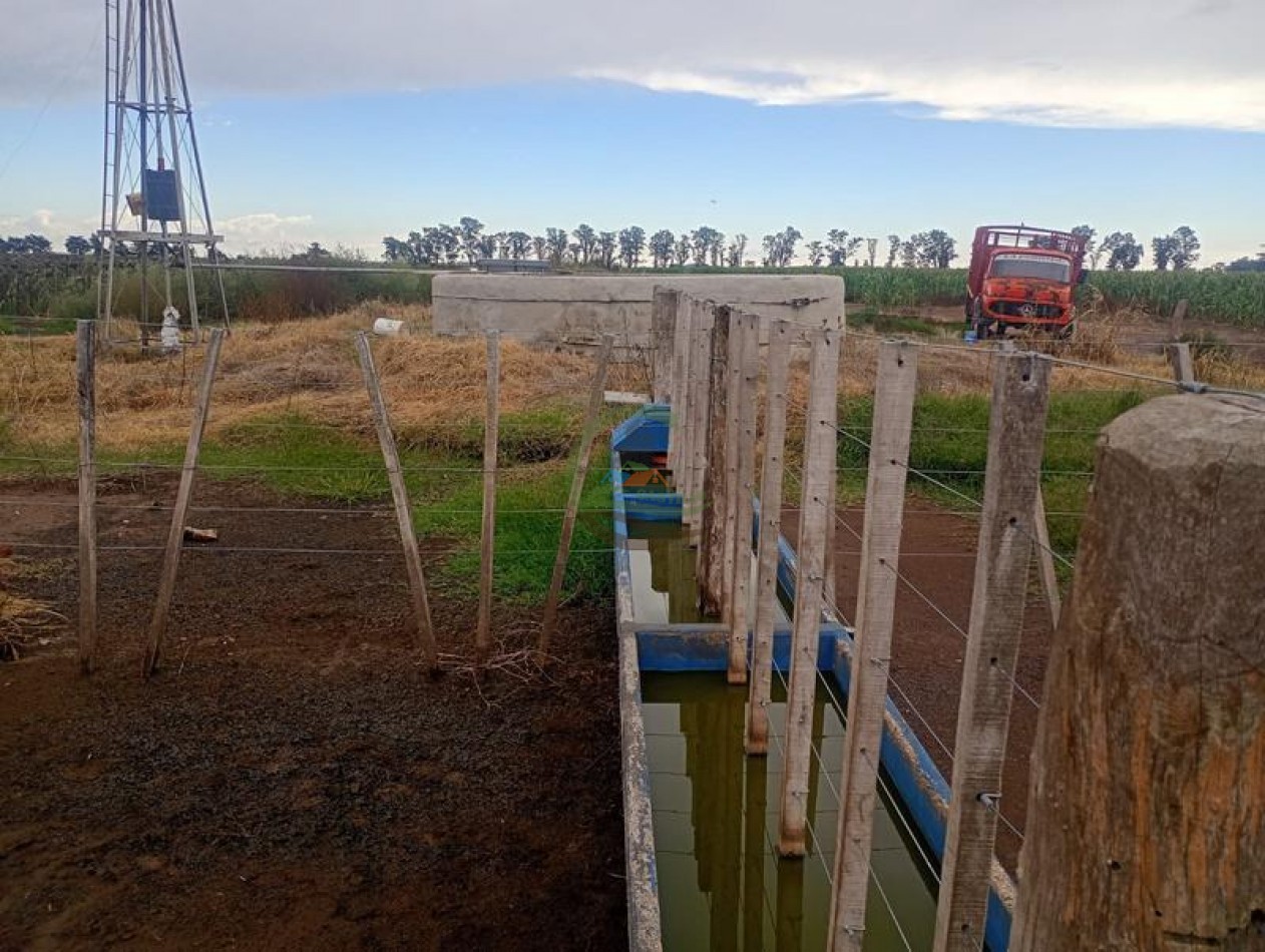 378 Ha Mixto - Realico - La Pampa