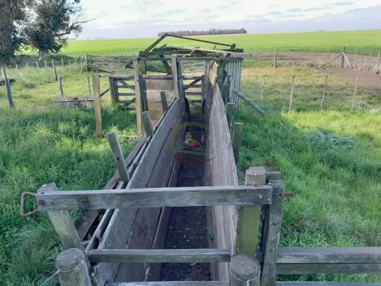338 Ha Mixto - San Cayetano 