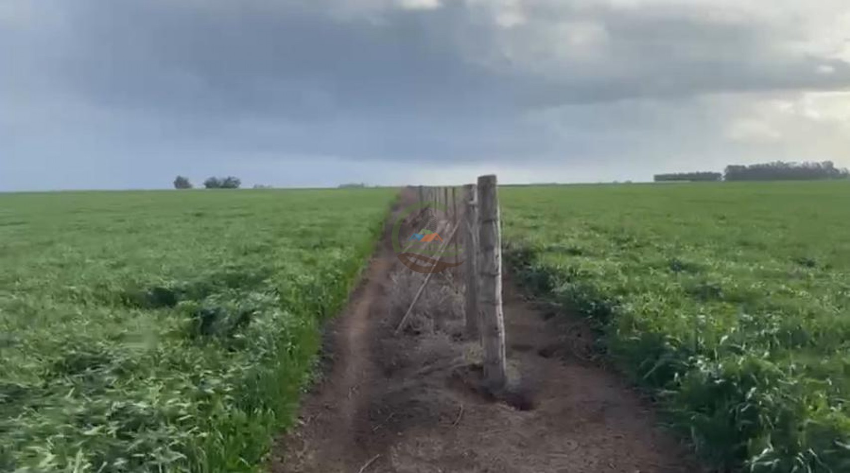 809 Ha Agricolas - Coronel Dorrego
