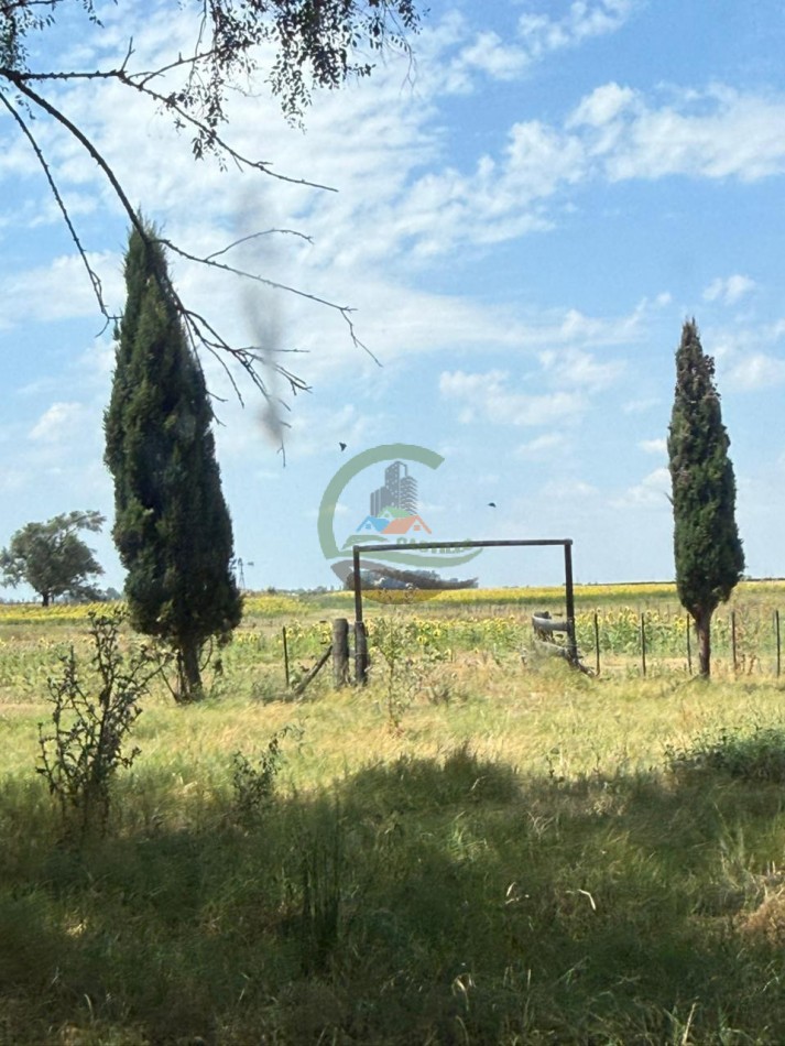 150 Ha Mixto - Urdampilleta - Bolivar