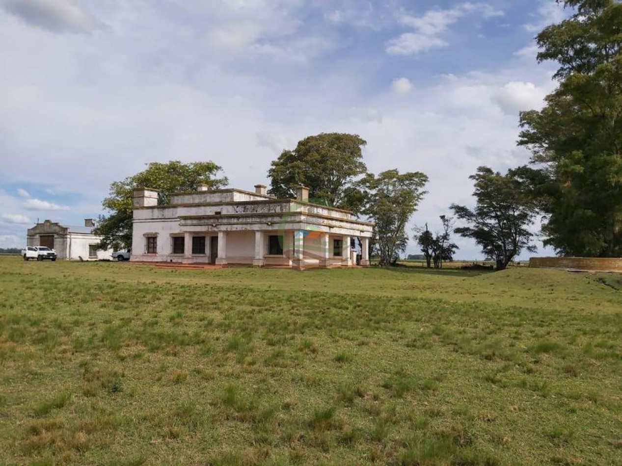 642 Ha Mixtas - Bolivar