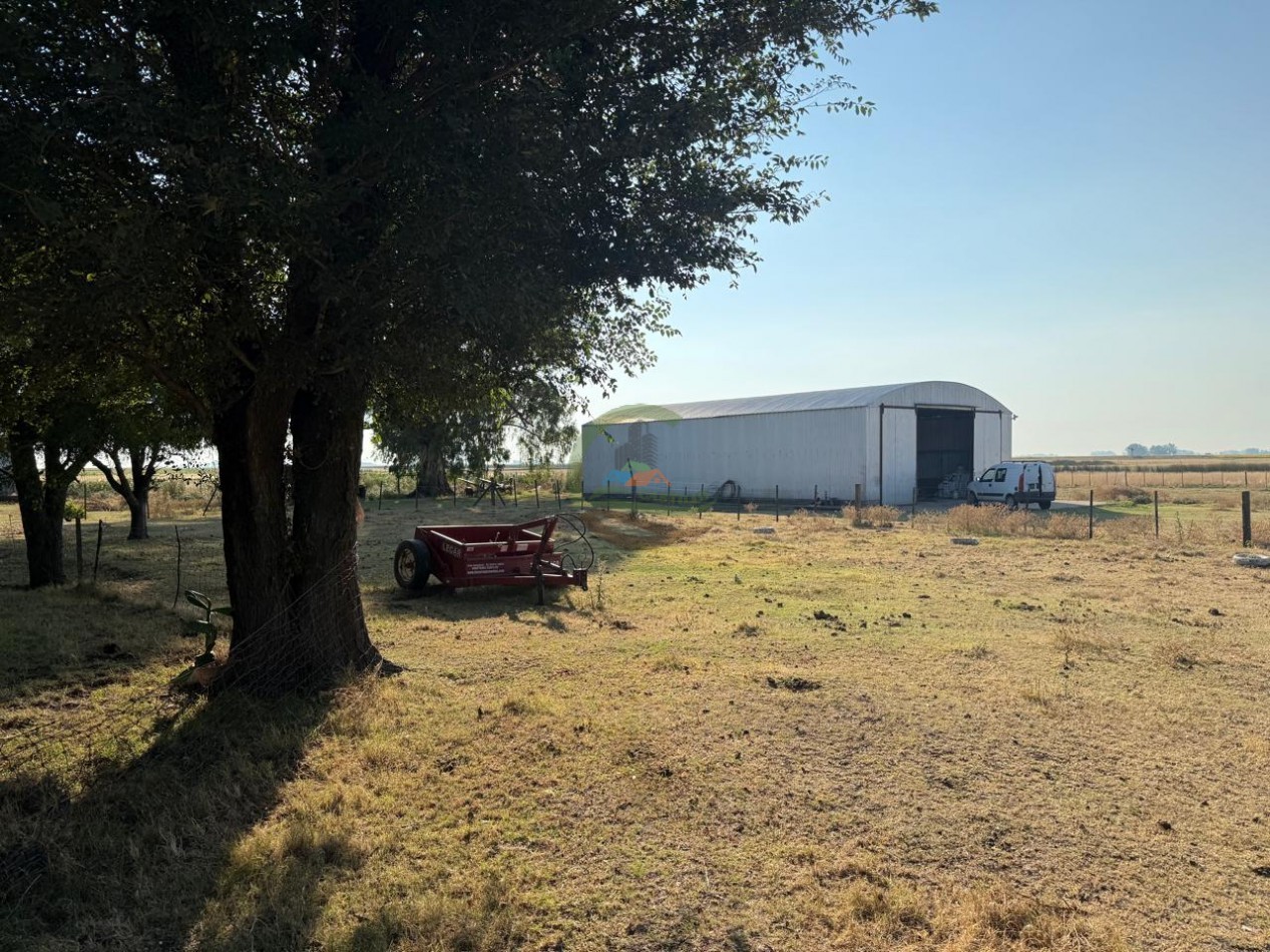 1698 ha Mixto - Paula - Bolivar