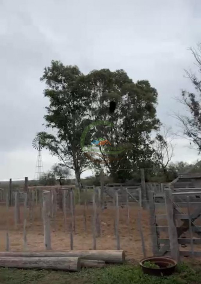5117 Ha Ganadero - La Adela - La Pampa
