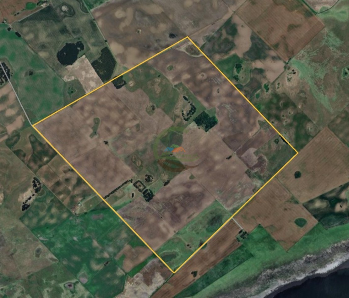 400 ha mixtas - guamini