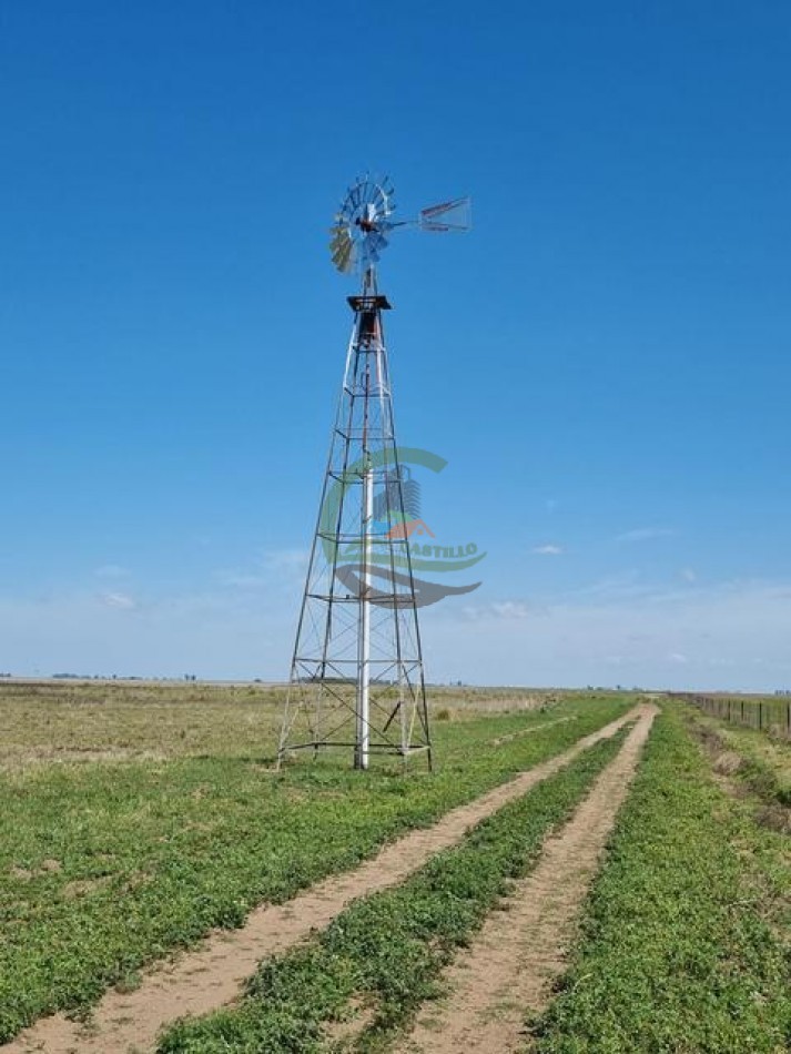 740 Ha - Mixto - Pehuajo