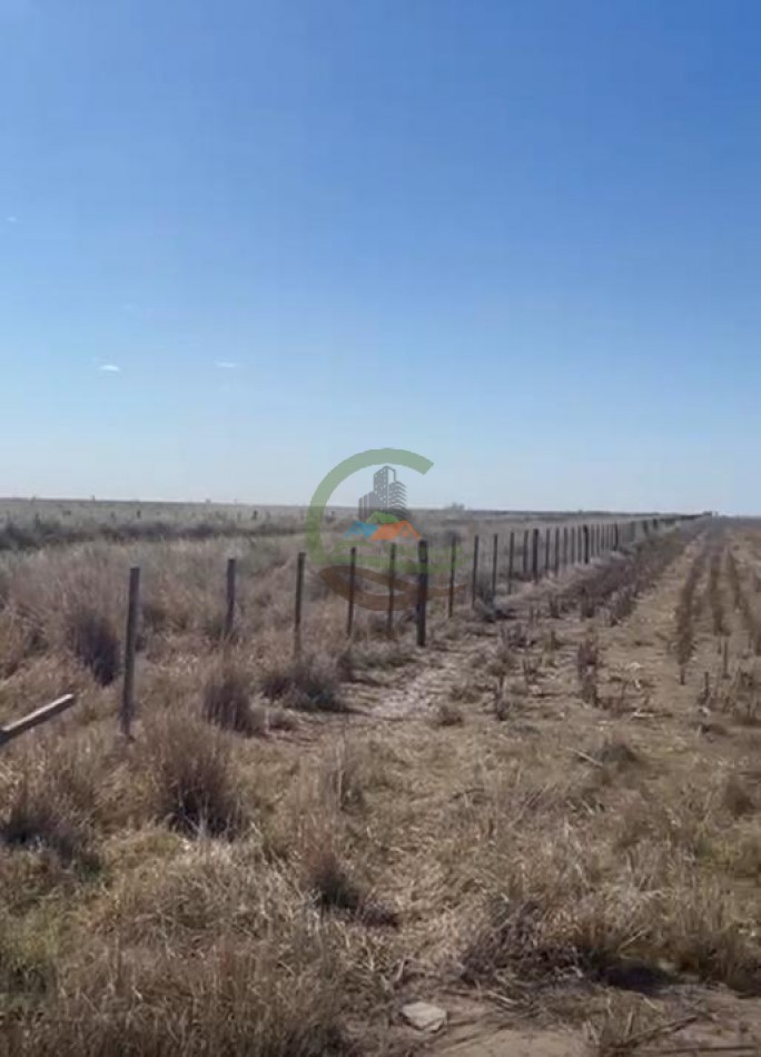 200 Ha agricolas - Saira - Marcos Juarez - Cordoba