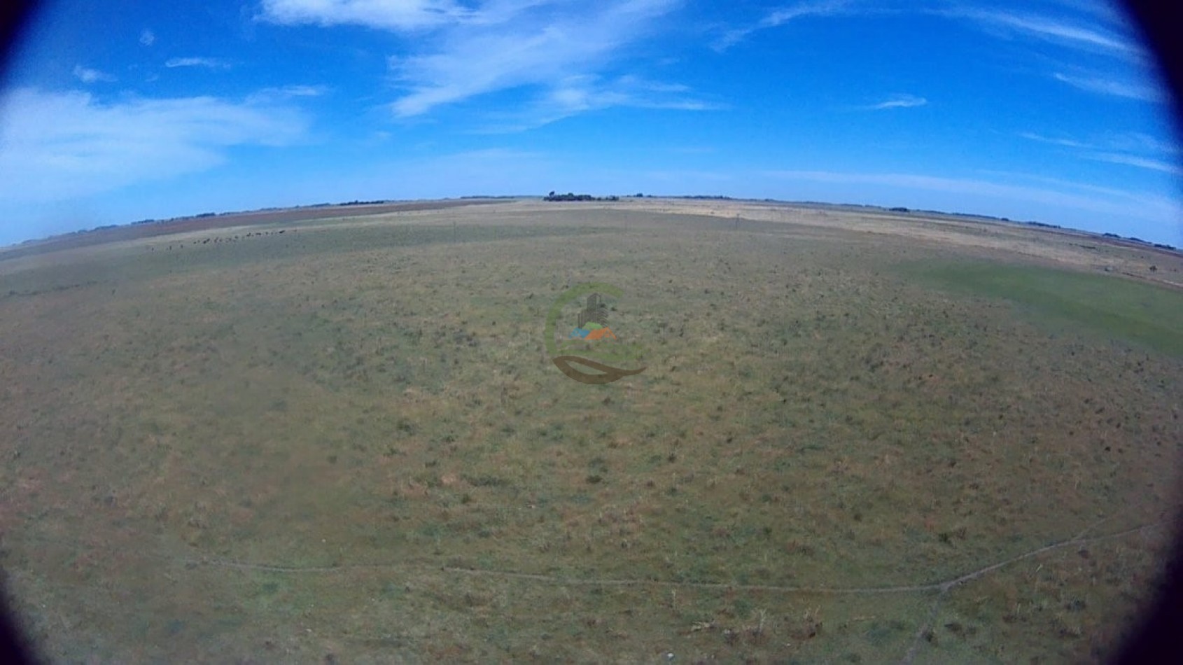 302 Ha Ganadero - Comandante Giribone - Chascomus