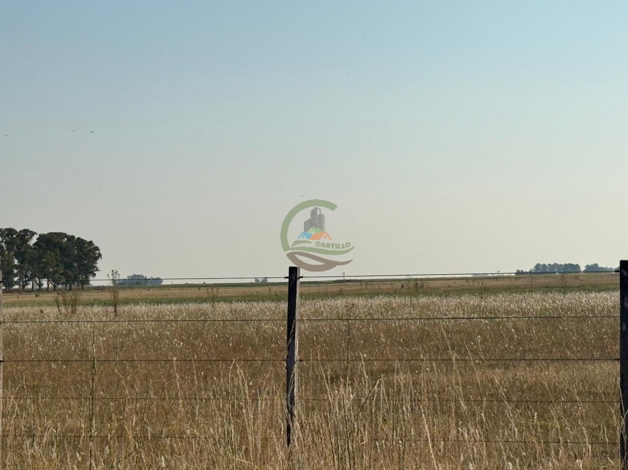 1698 ha Mixto - Paula - Bolivar