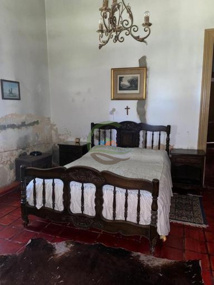 907 Ha Ganadero - Espigas - Olavarria