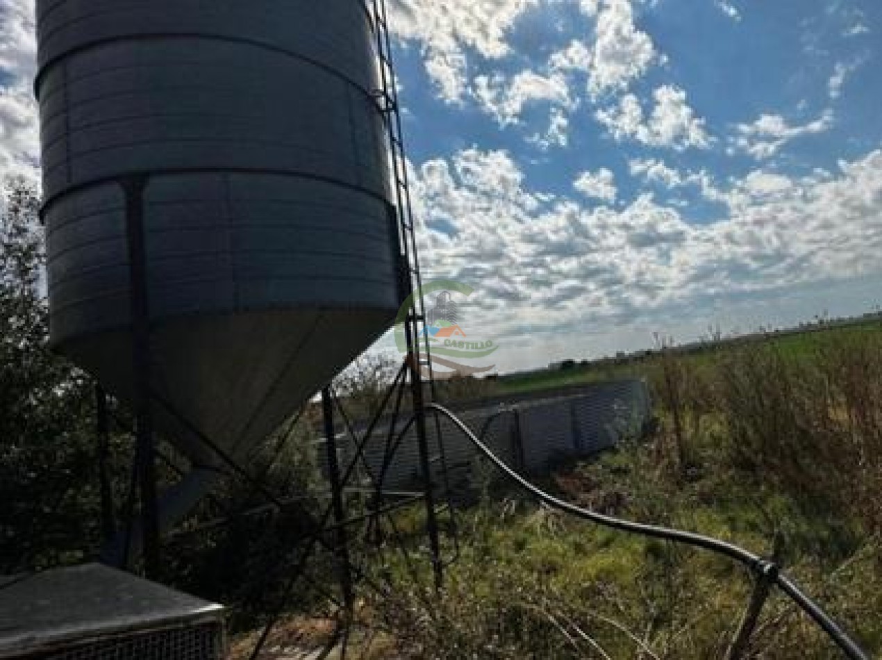 401 Ha Mixto - Lezama