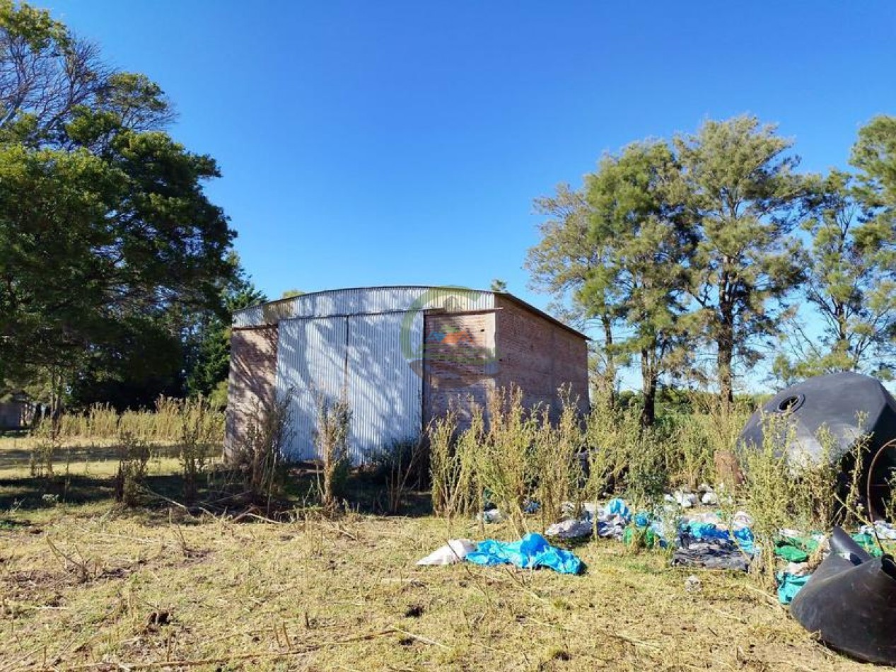 155 ha mixto - Villa Angelica - Pergamino