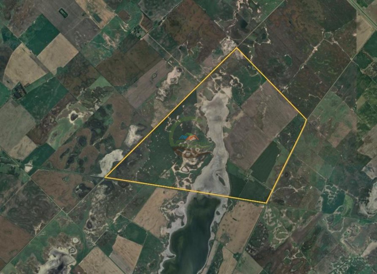 875 Ha Mixto - Carlos Tejedor