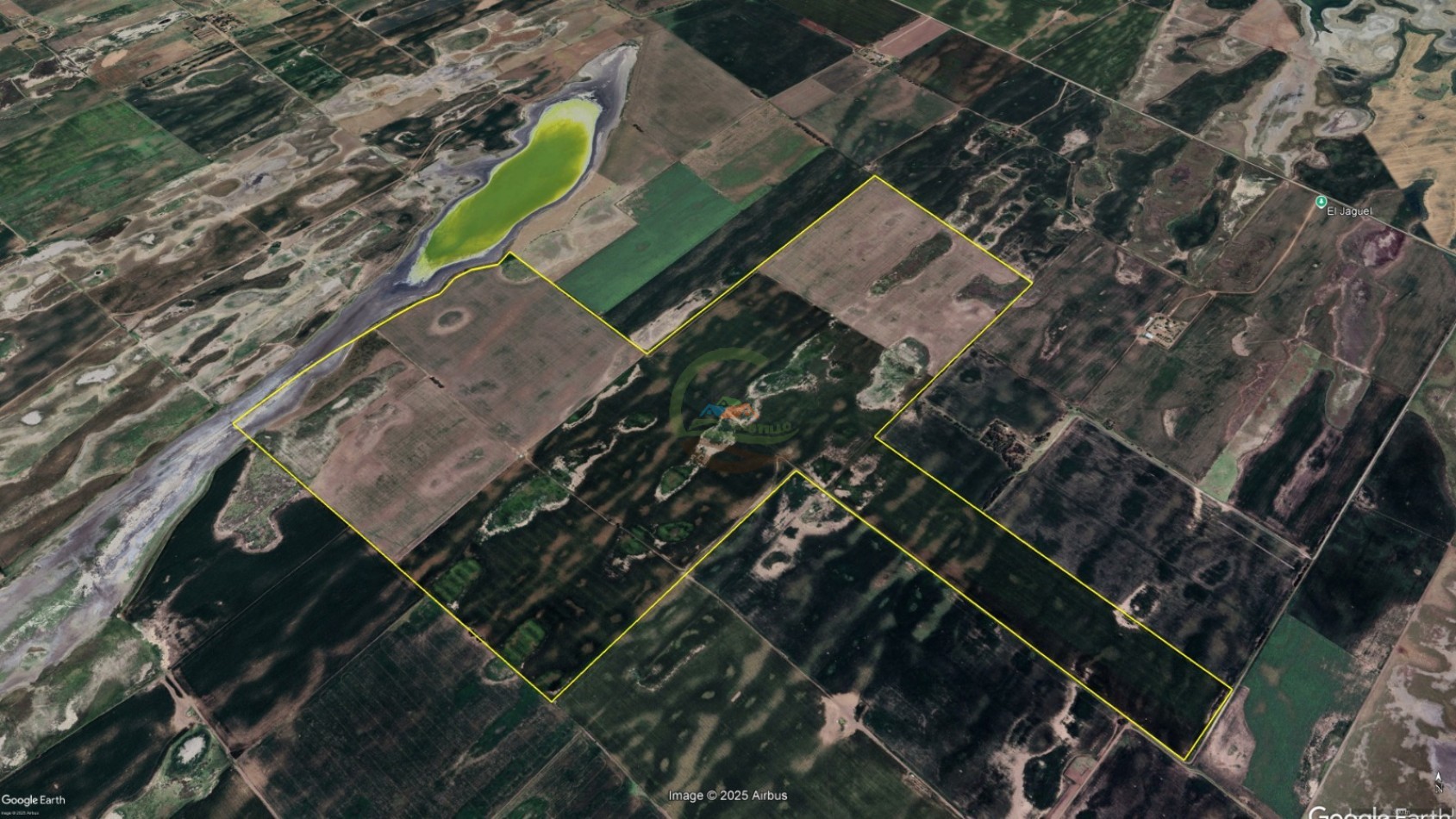 436 ha agricolas - Trenque Lauquen