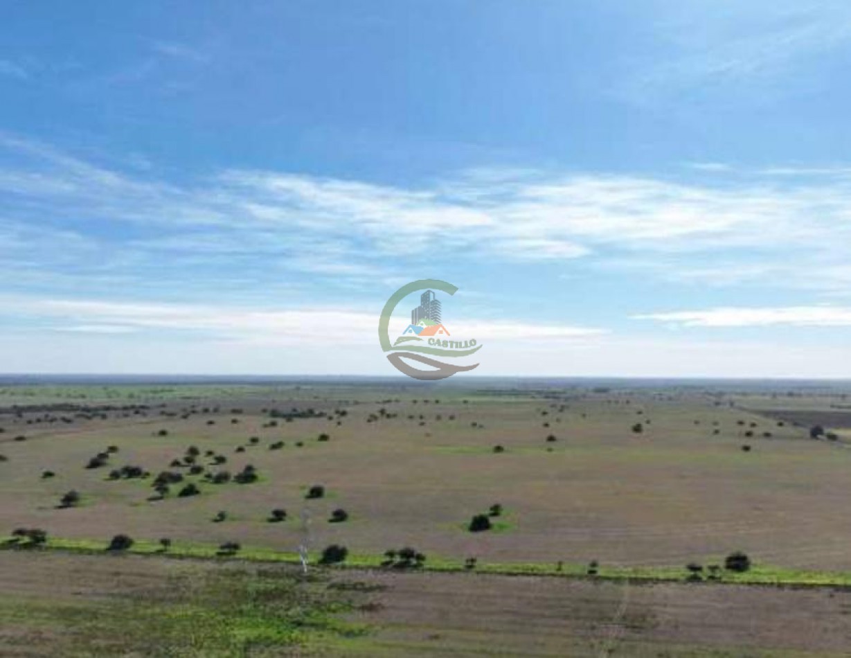 3780 Ha Mixto - Alpachiri - Guatrache - La Pampa
