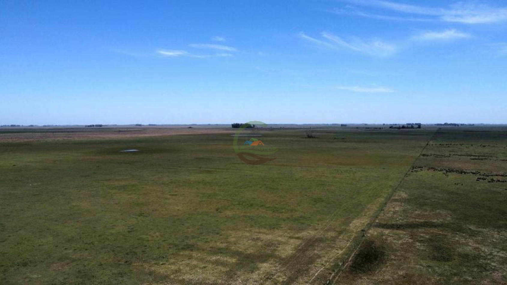 227 Ha Mixto - Rauch
