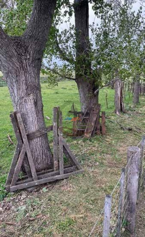 265 Ha Ganadero - Harosteguy - Las Flores