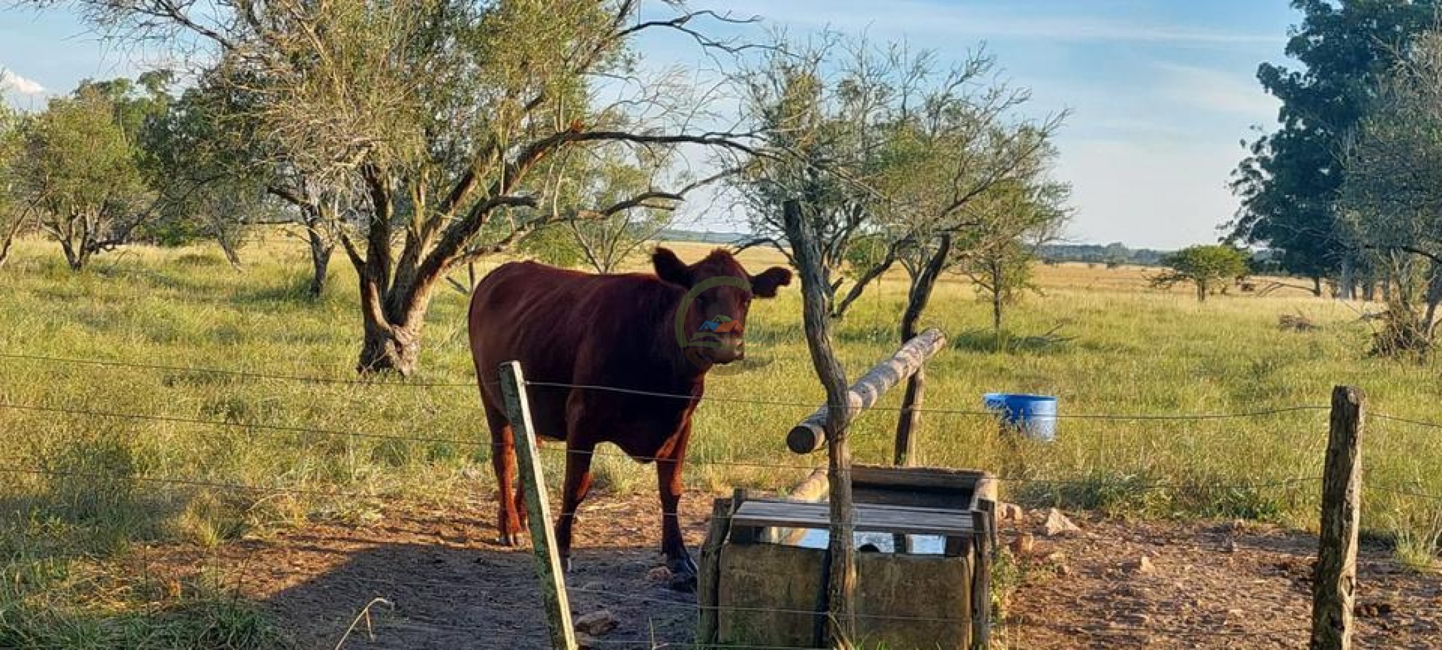 218 Ha Ganadero - Chajari - Entre Rios