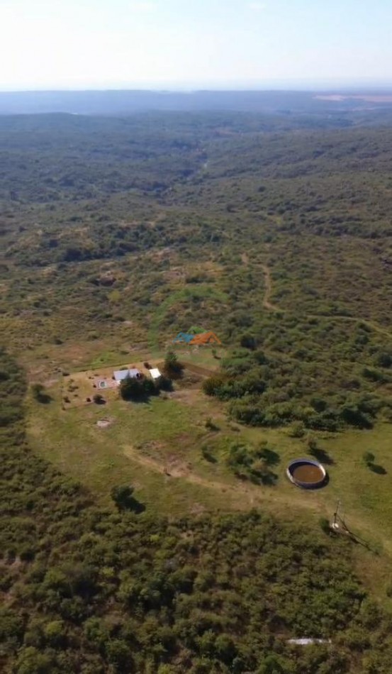 299 Ha Ganadero - Calamuchita - Cordoba