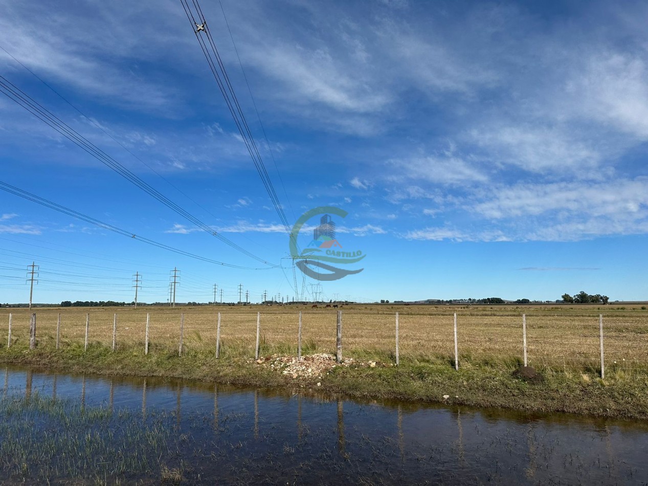 47 ha mixto - Olavarria