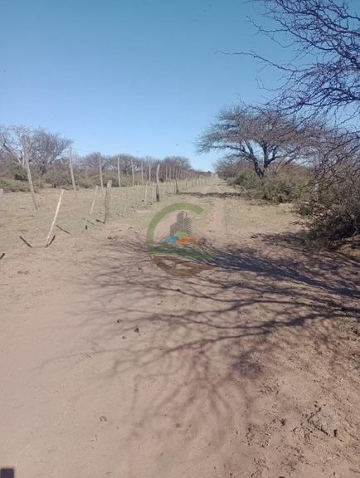 2500 Ha Ganadero - Coto de Caza - Colonia Devoto - La Pampa