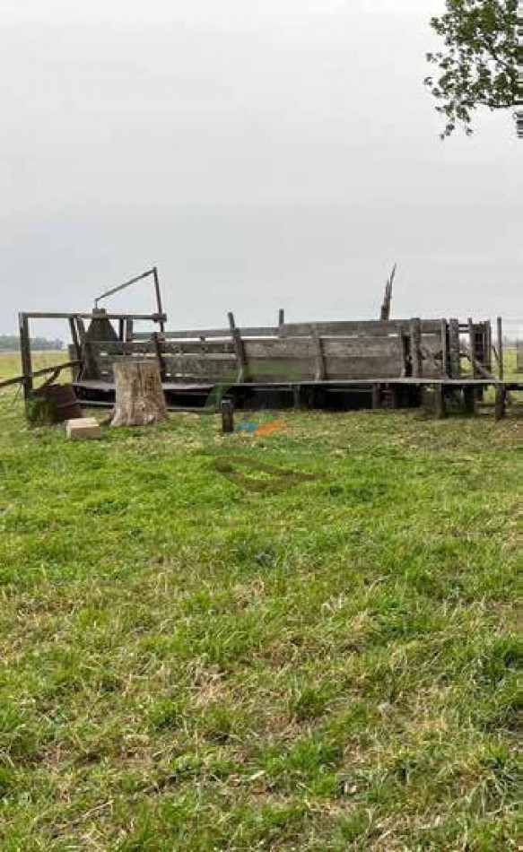 265 Ha Ganadero - Harosteguy - Las Flores