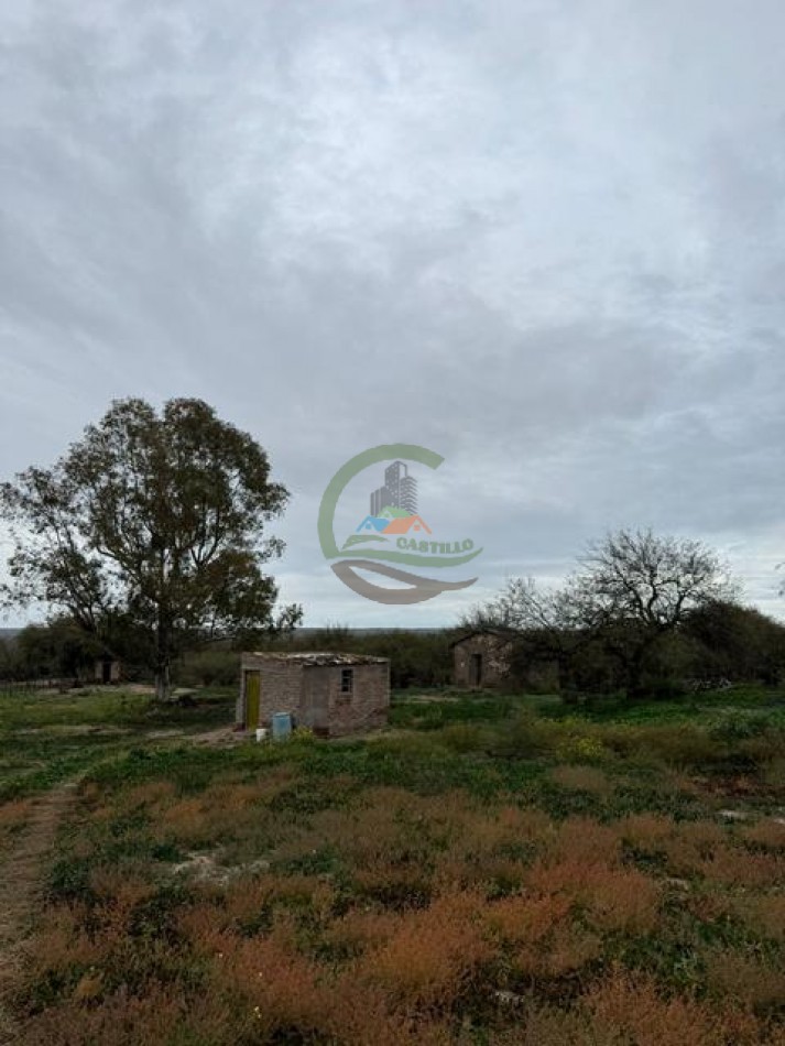 5117 Ha Ganadero - La Adela - La Pampa