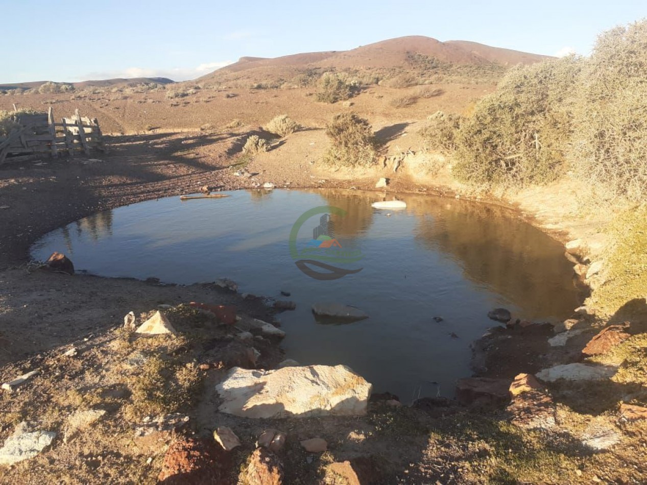 59000 ha Ganadero - Chubut