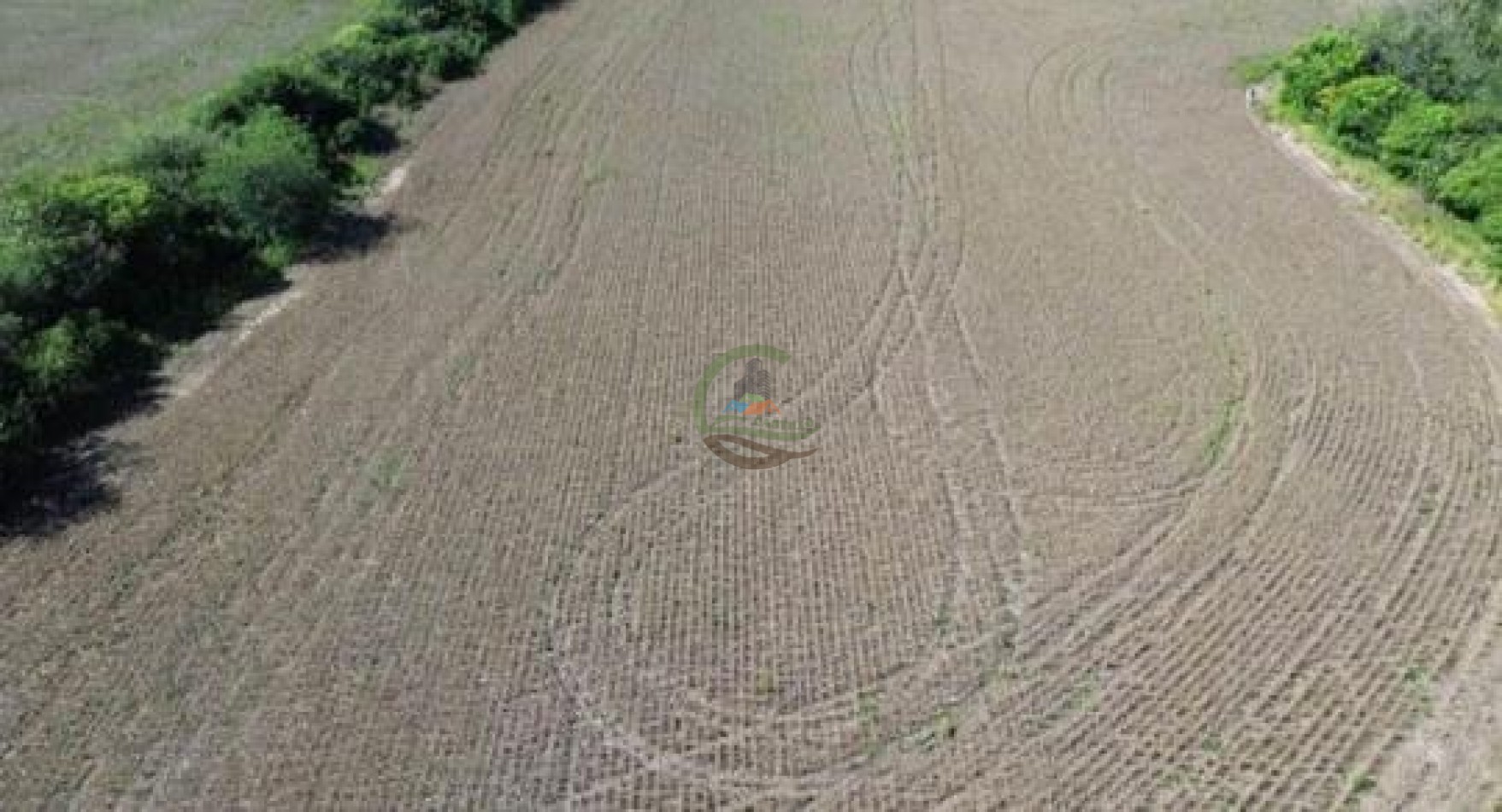 118 Ha Agricolas - Sarmiento - Totoral - Cordoba