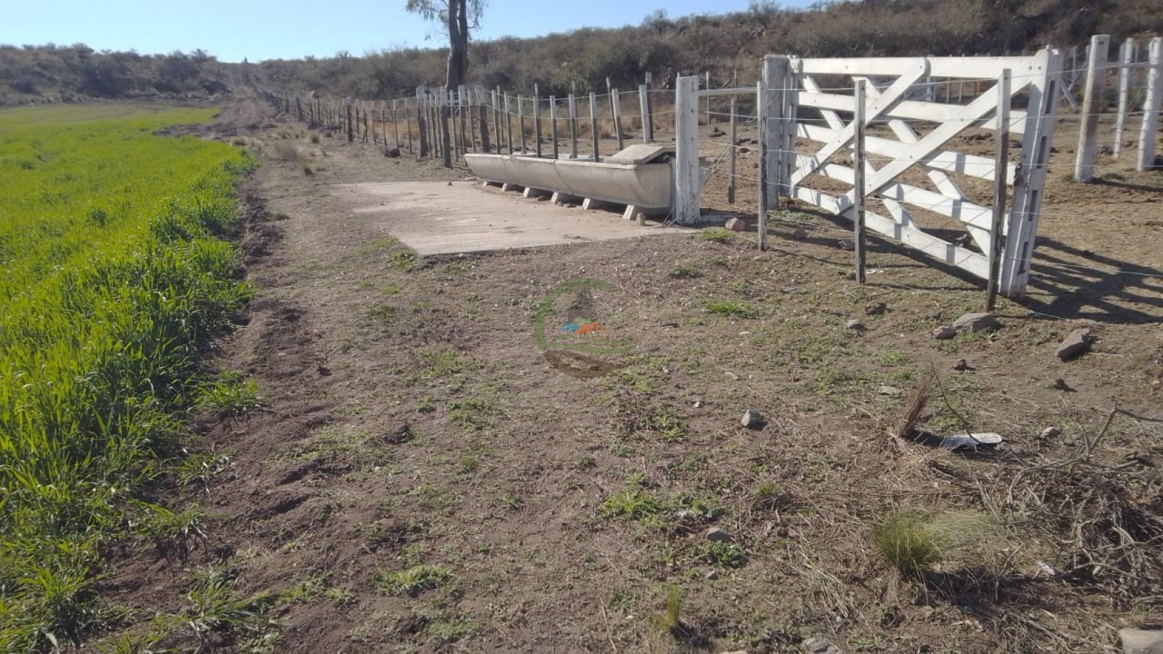 80 Ha Mixtas - Elena - Rio Cuarto
