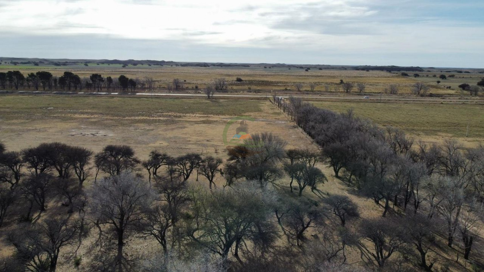 1006 Ha Mixto - Gral Acha - La Pampa