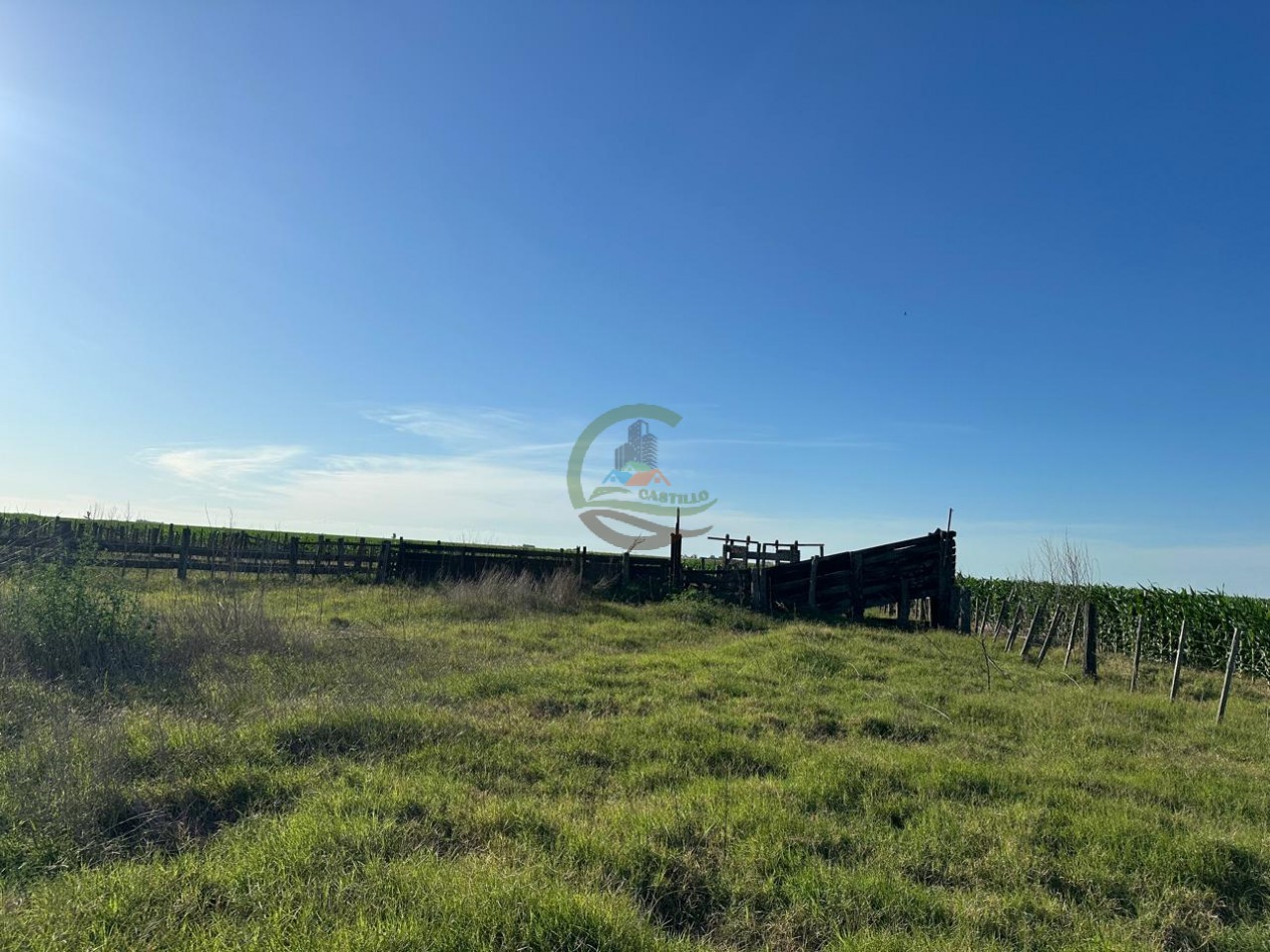 262 Ha Agricolas - Gonzalez Moreno - Rivadavia