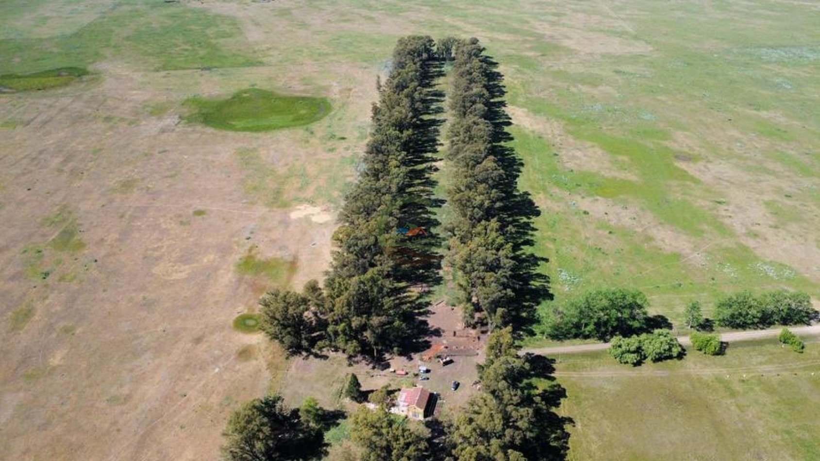 431 Ha Ganadero - Campodonico - Tapalque