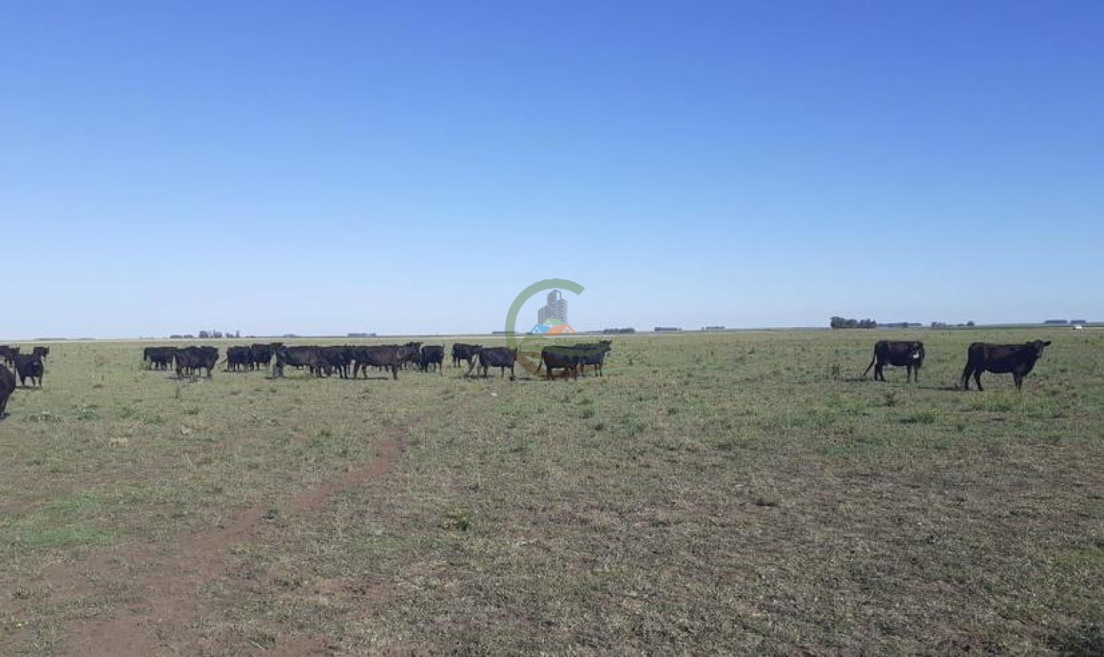 338 Ha Mixto - San Cayetano 