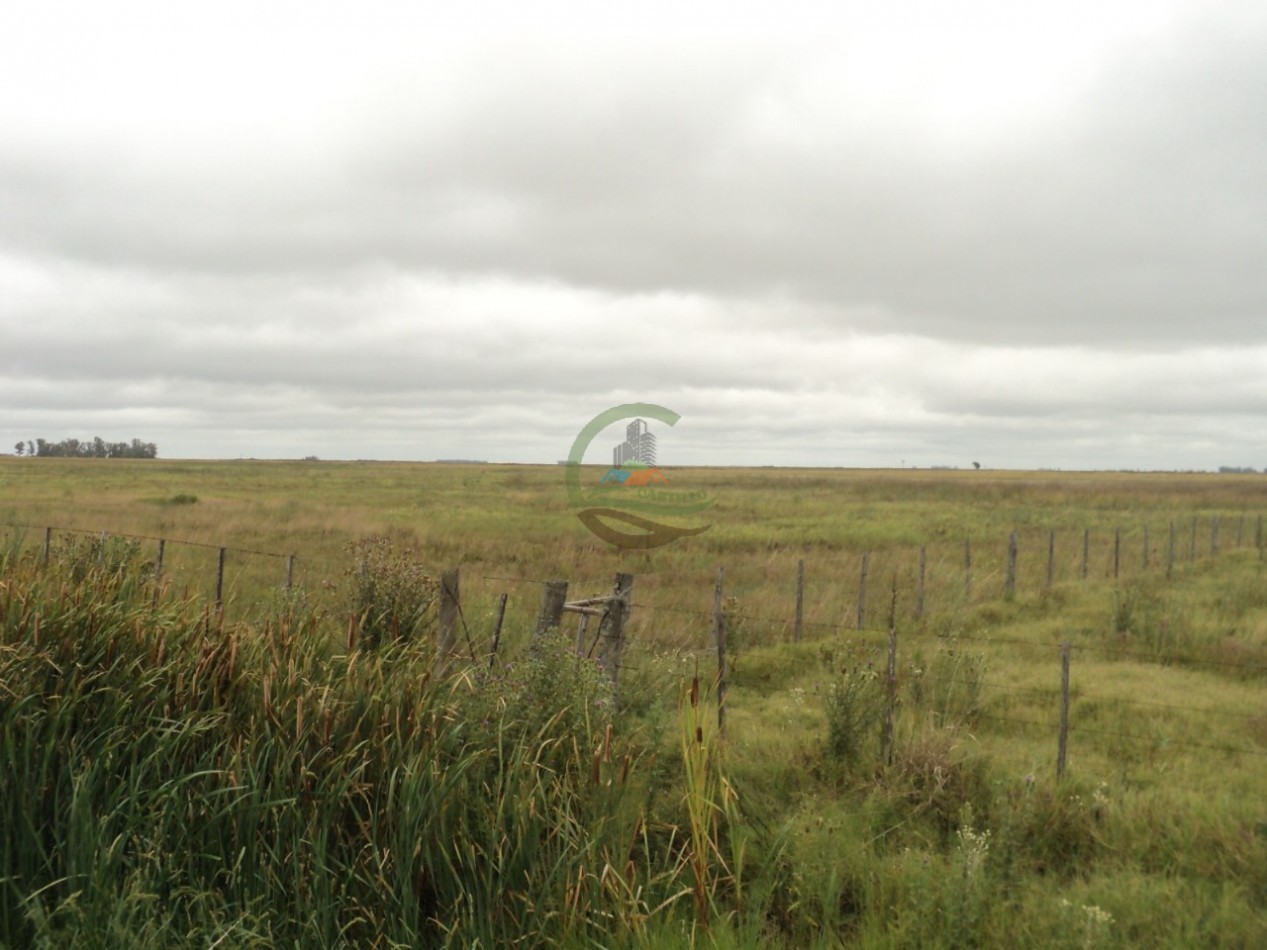 603 Ha Agricolas - Gral Pinto