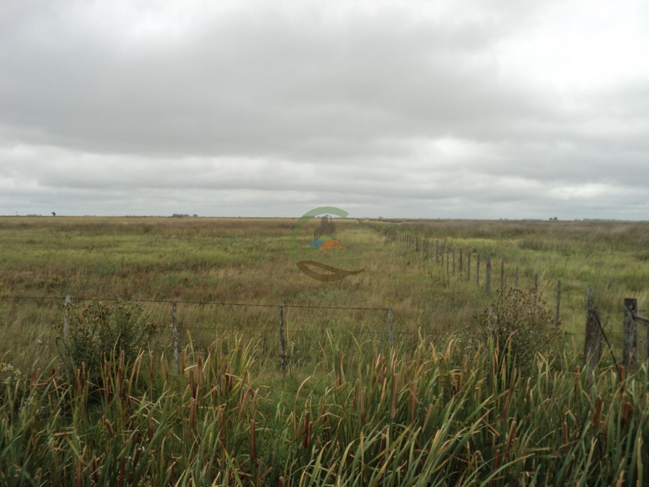 603 Ha Agricolas - Gral Pinto